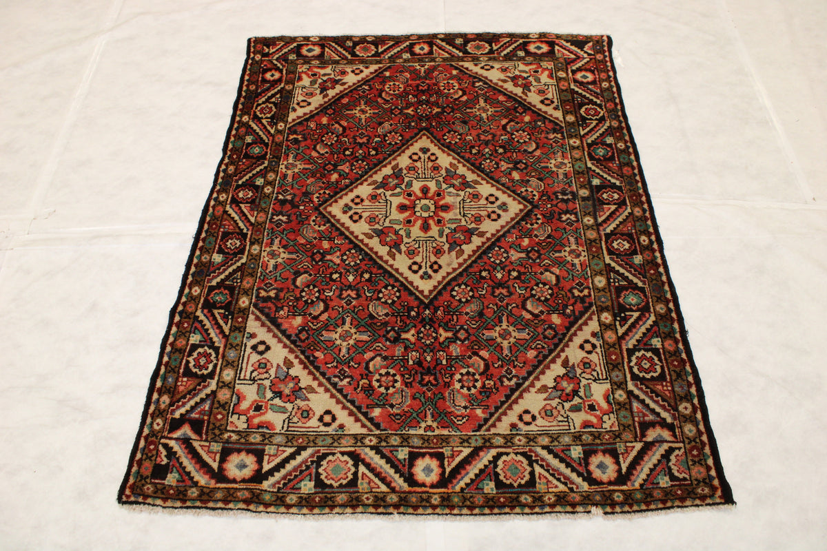 Persian Rug, Geometric Rug, 5x6 Area Rug